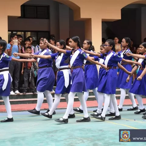 scout1-68fc7f9622afe